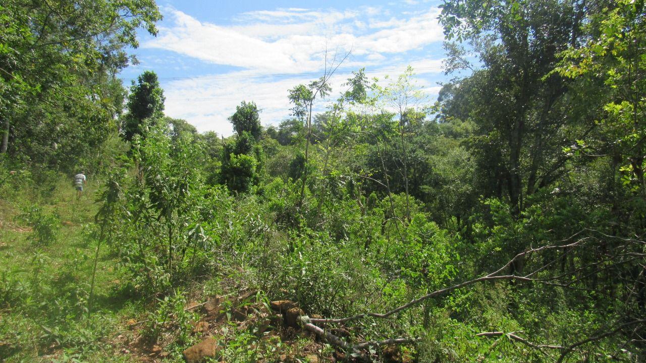 Loteamento e Condomínio à venda, 120000m² - Foto 28