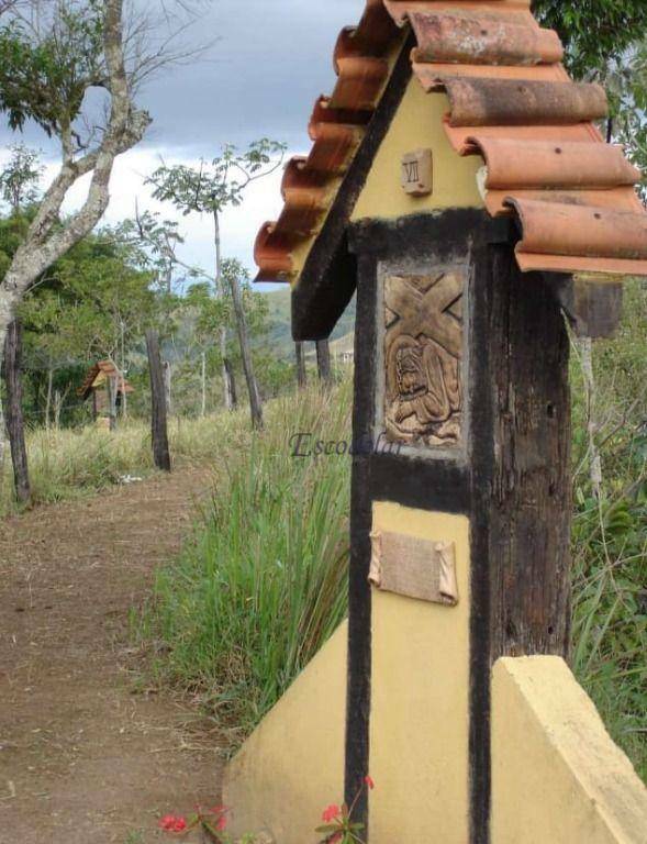 Fazenda à venda com 5 quartos, 1331000M2 - Foto 13