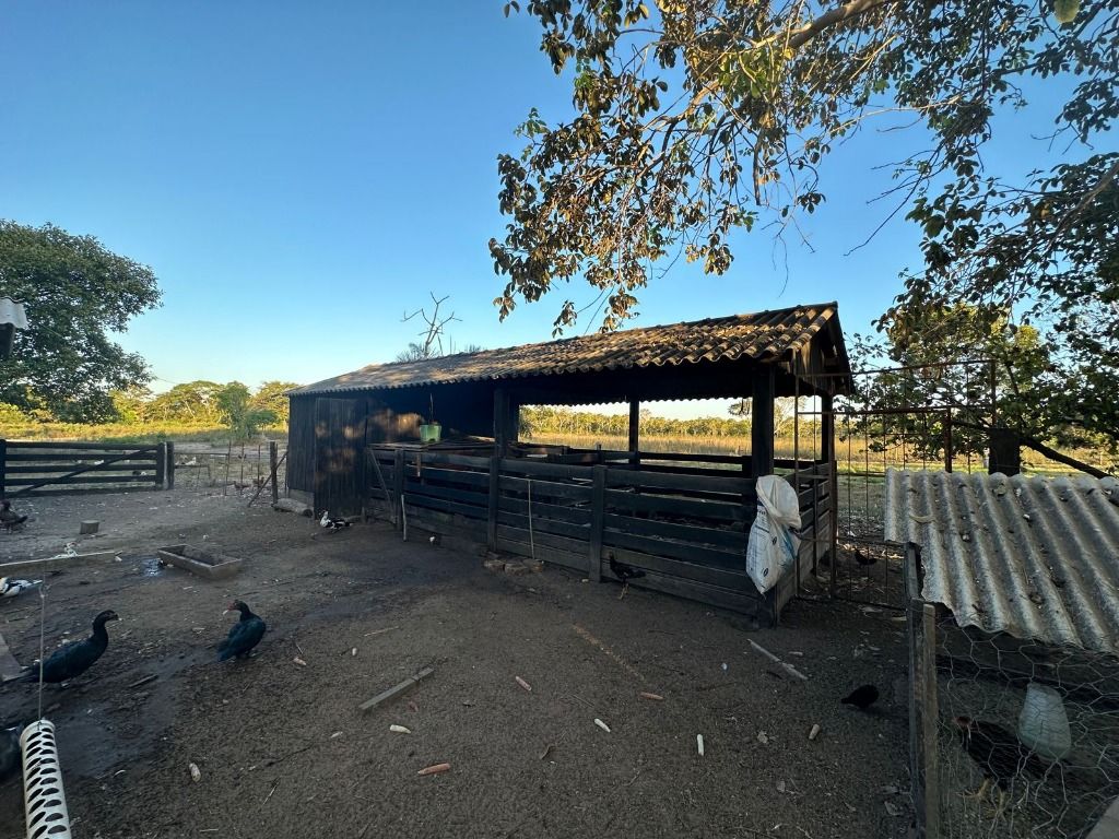 Fazenda à venda, 10120000M2 - Foto 28