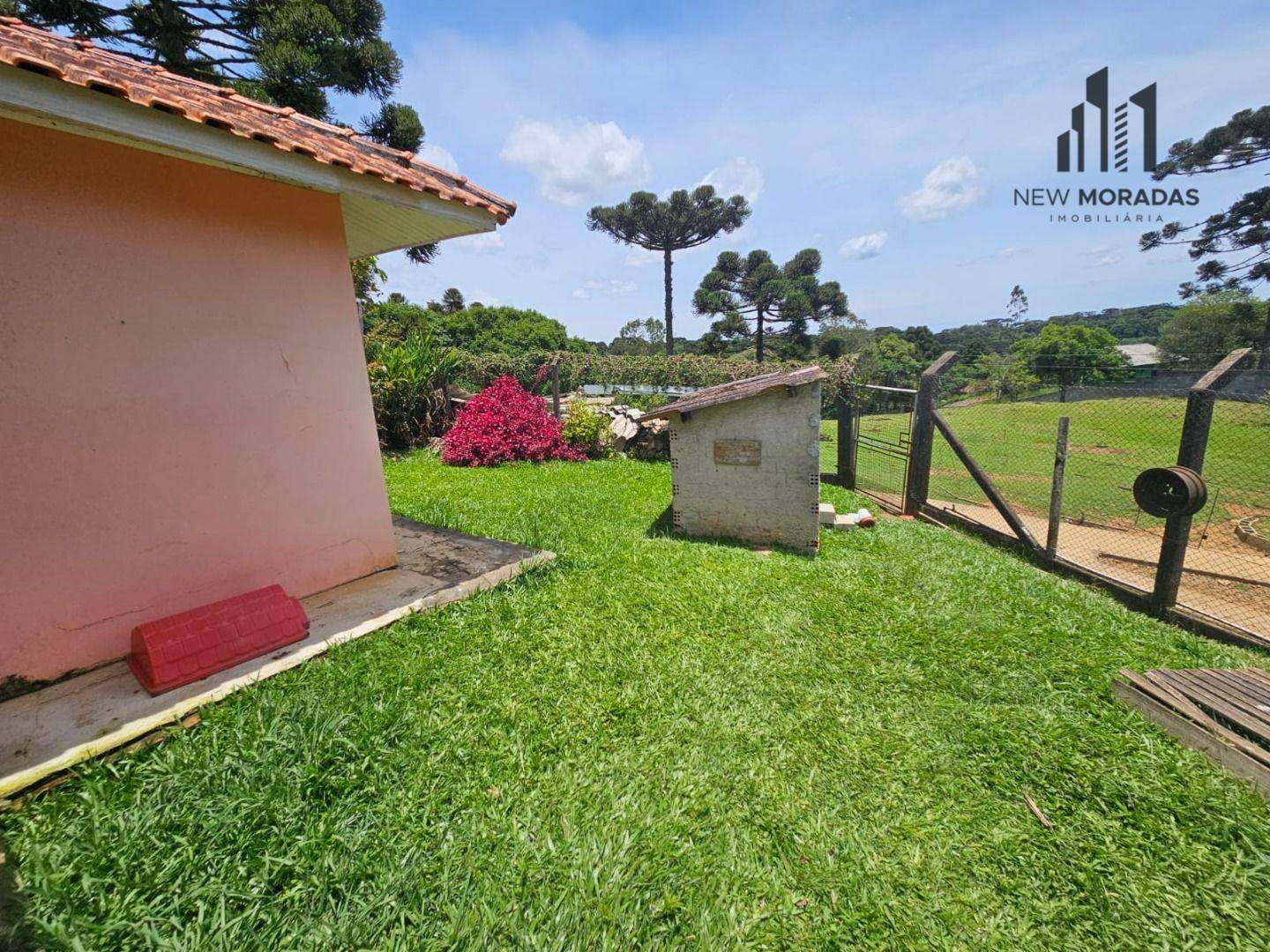 Chácara, 9 quartos, 3 hectares - Foto 4