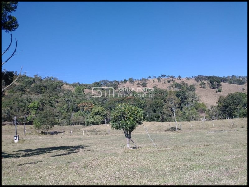 Fazenda à venda com 3 quartos, 24m² - Foto 49