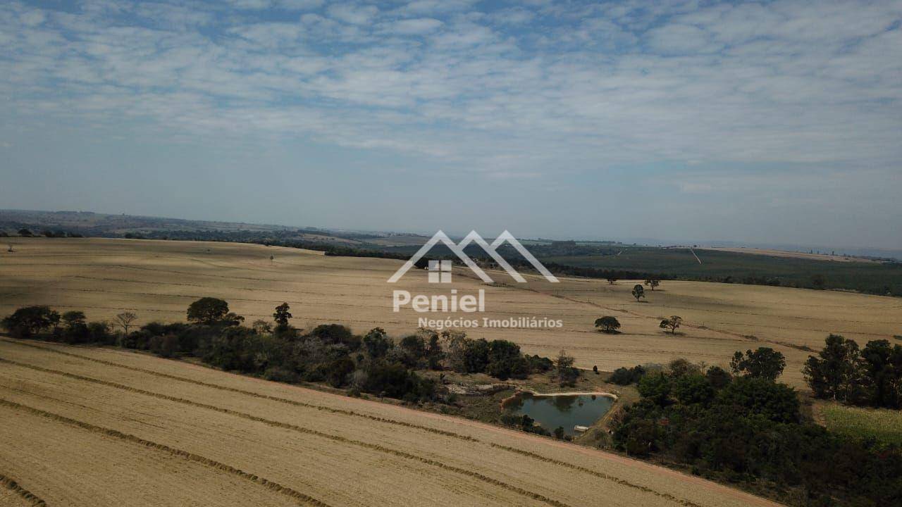 Fazenda à venda, 500m² - Foto 12