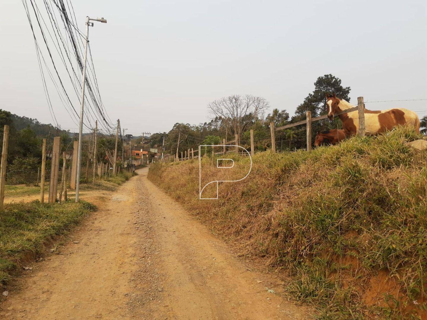 Terreno à venda, 2940M2 - Foto 4