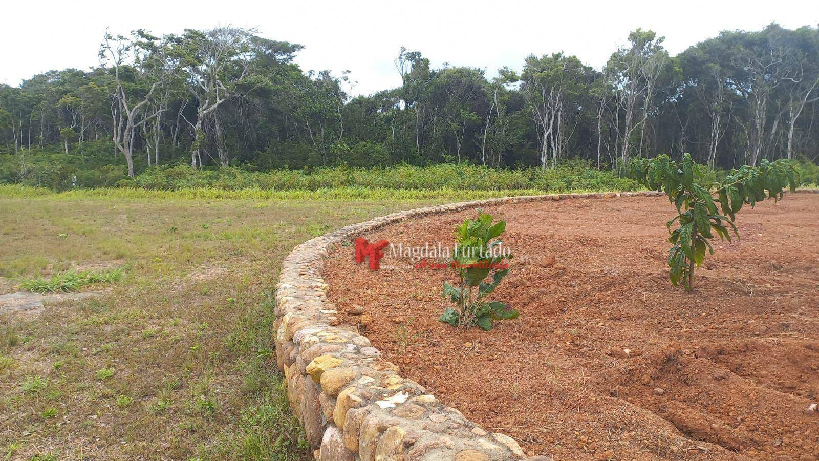 Terreno à venda, 300M2 - Foto 7