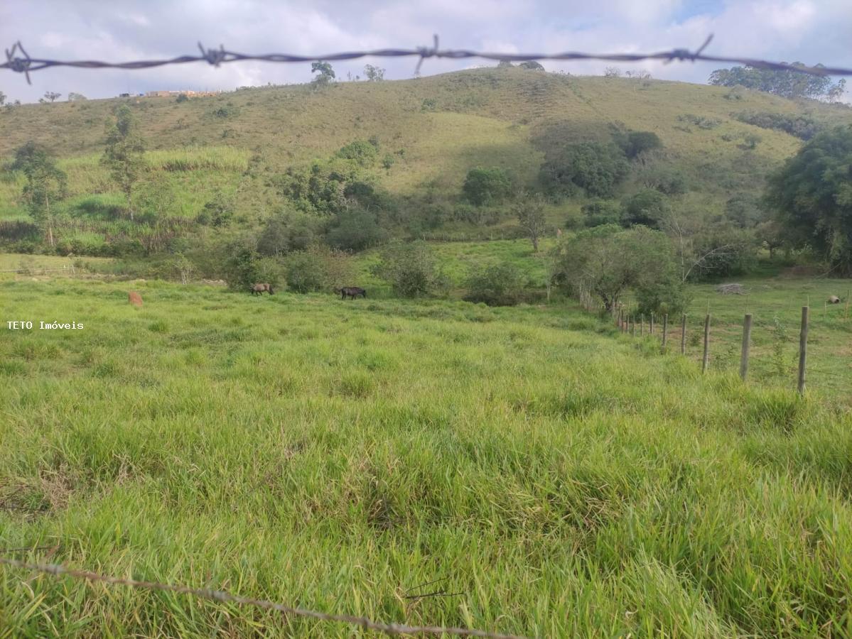 Terreno, 8000 m² - Foto 4