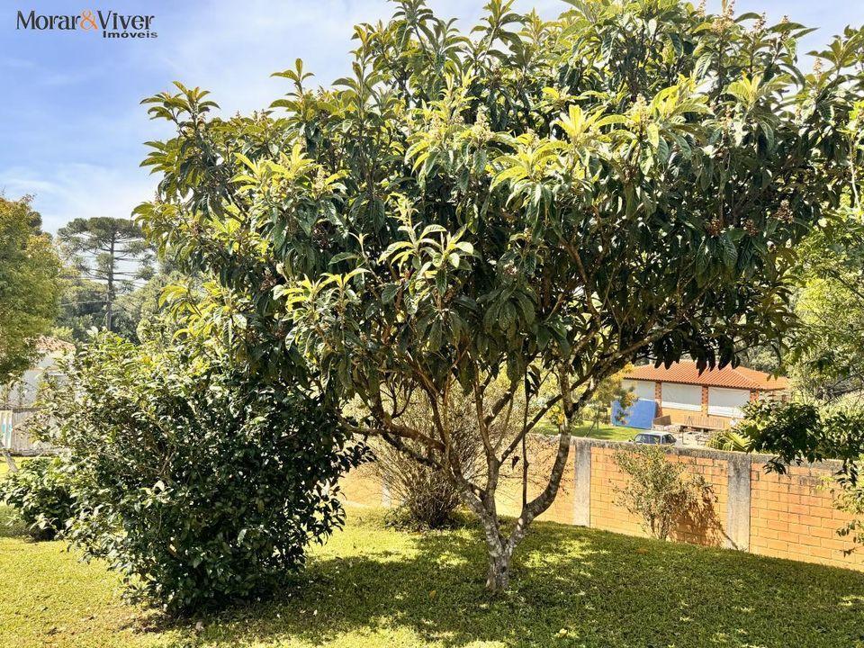 Fazenda à venda com 4 quartos, 7700m² - Foto 17