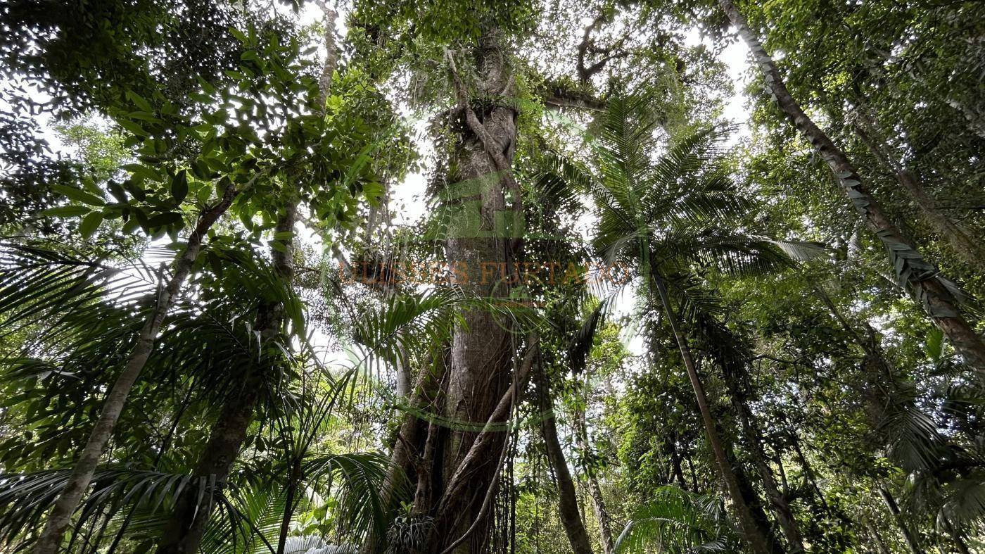 Sítio, 24 m² - Foto 37