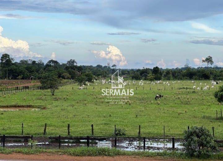 Fazenda à venda, 7719800M2 - Foto 18