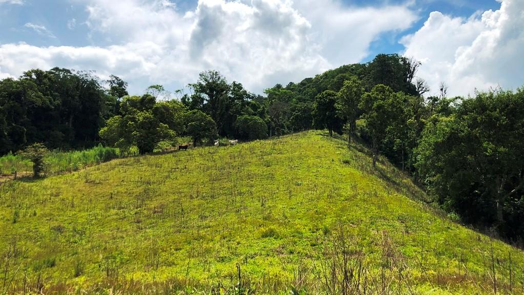 Sítio à venda com 2 quartos, 37800m² - Foto 28