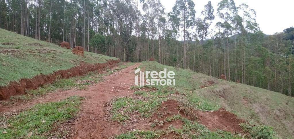 Fazenda à venda com 3 quartos, 1110000M2 - Foto 57
