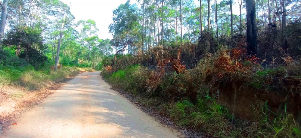 Fazenda à venda, 266200m² - Foto 2