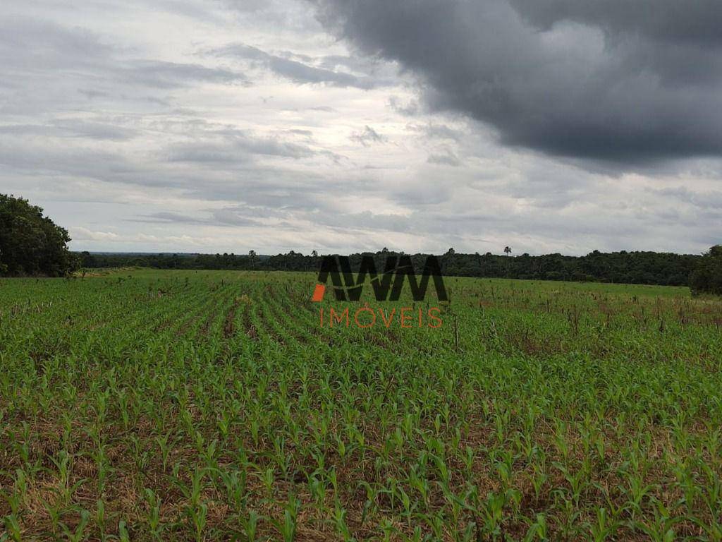 Fazenda à venda, 29999772M2 - Foto 18