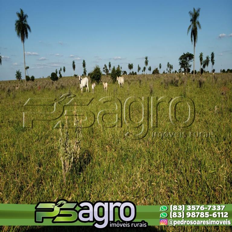 Terreno à venda, 53966000M2 - Foto 6