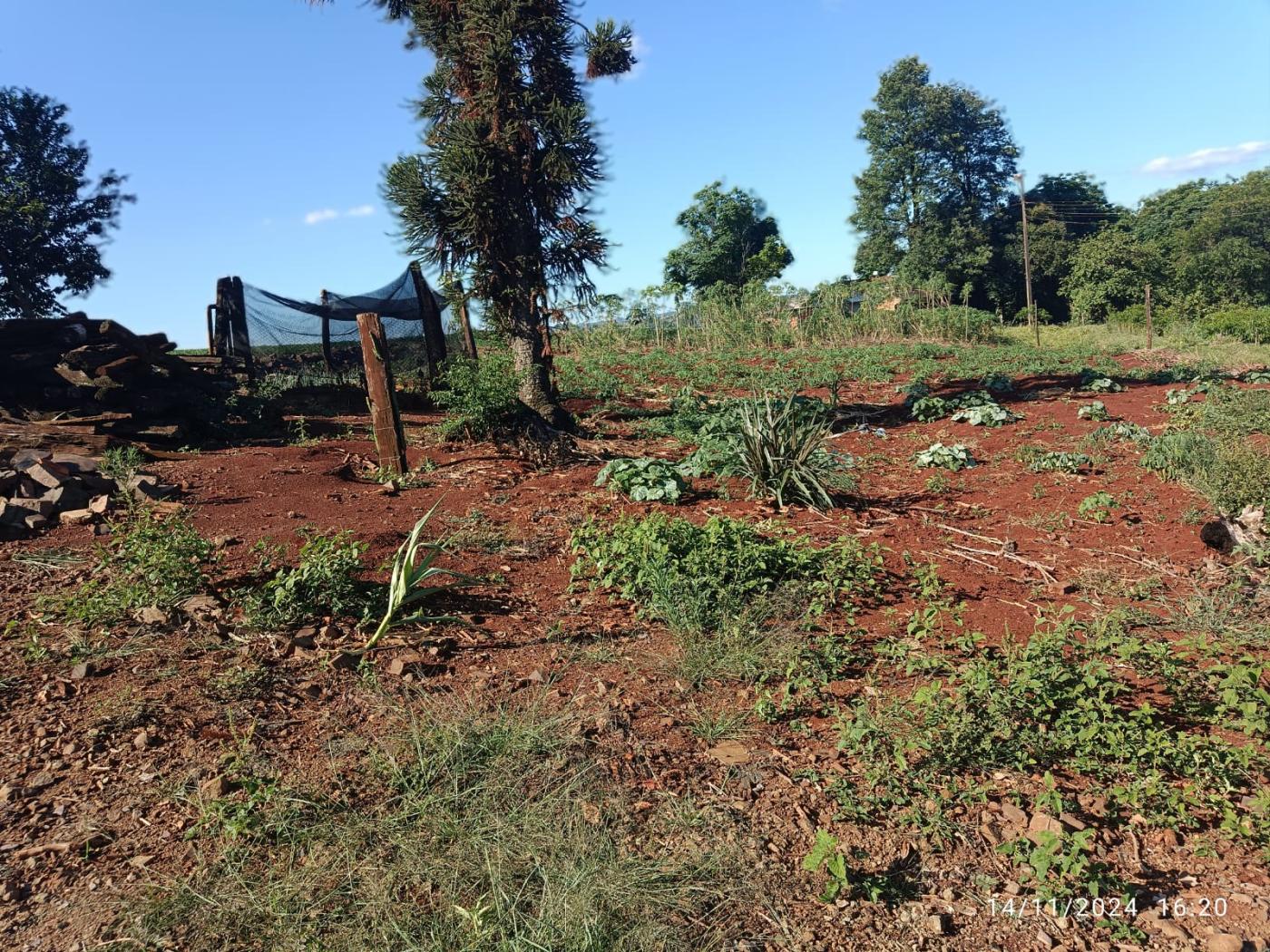 Fazenda à venda, 81160m² - Foto 8