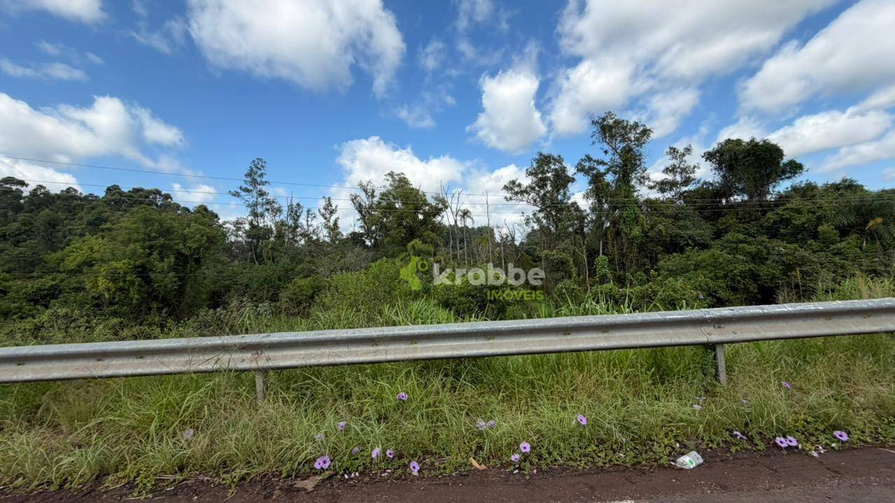 Terreno, 2 hectares - Foto 4