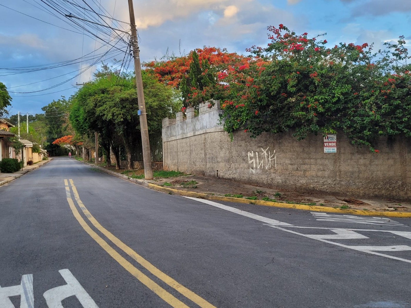 Casa à venda com 4 quartos, 2000m² - Foto 43