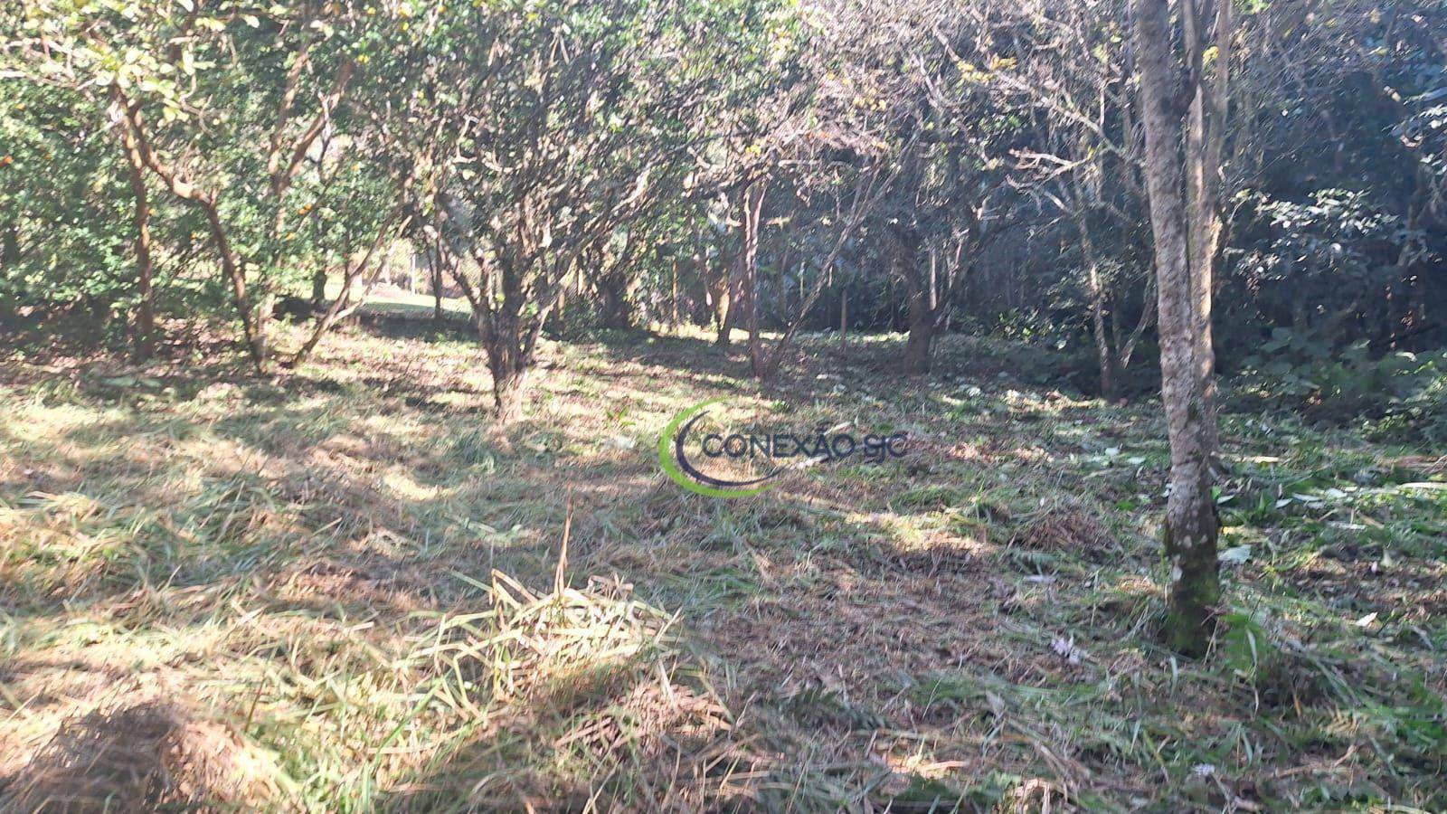 Loteamento e Condomínio à venda, 90000M2 - Foto 15