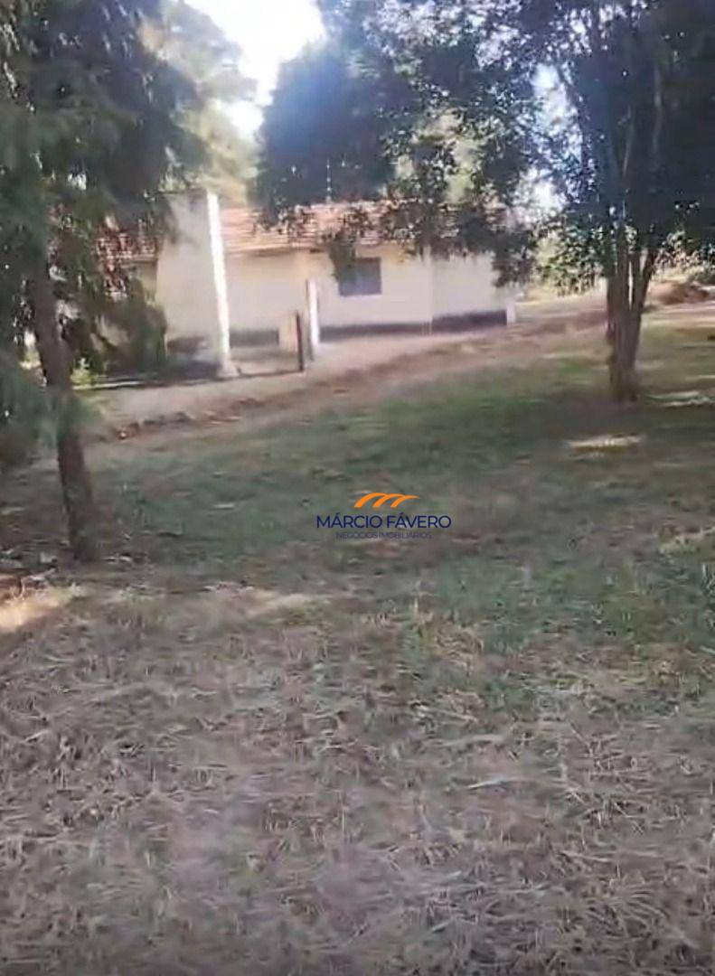 Sítio, 61 hectares - Foto 2