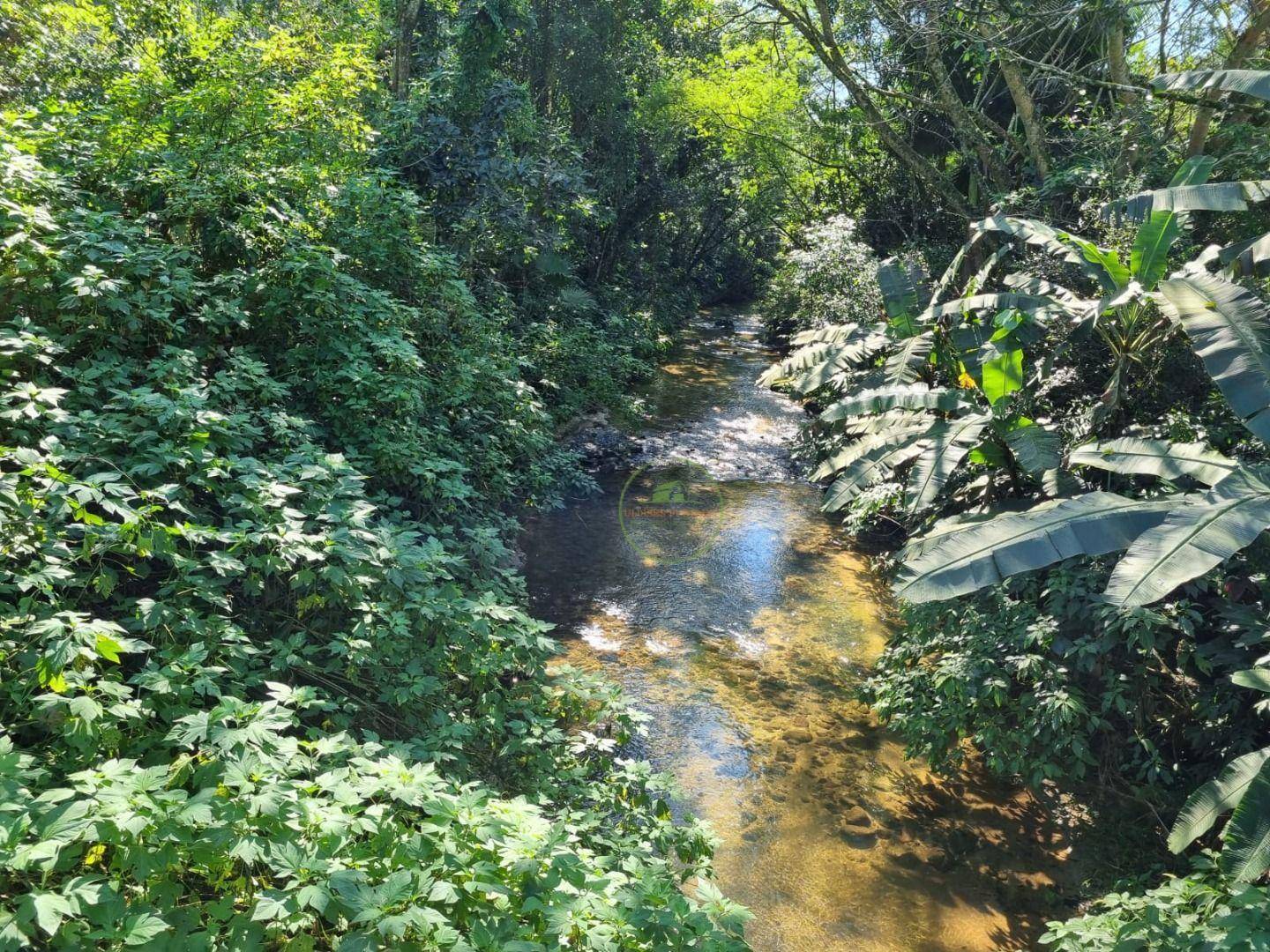 Chácara, 2 quartos, 2500 m² - Foto 7