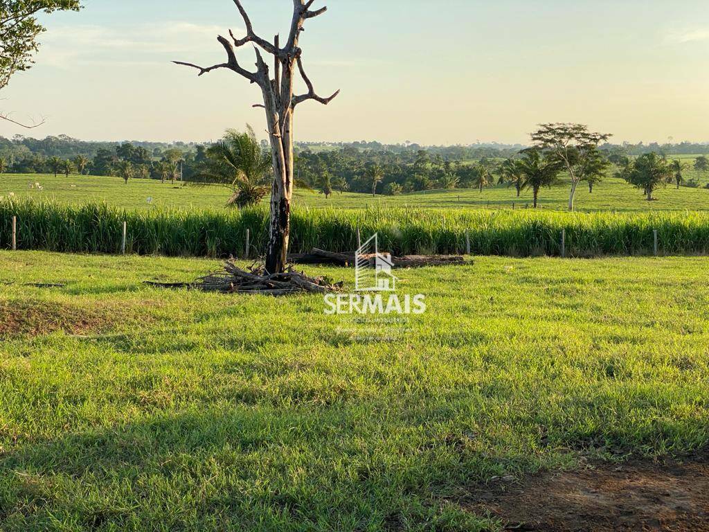 Fazenda à venda, 968000M2 - Foto 7