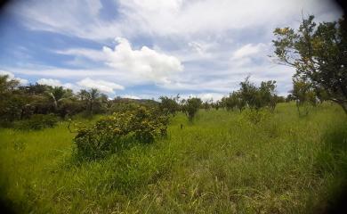 Fazenda à venda com 5 quartos, 70000m² - Foto 19