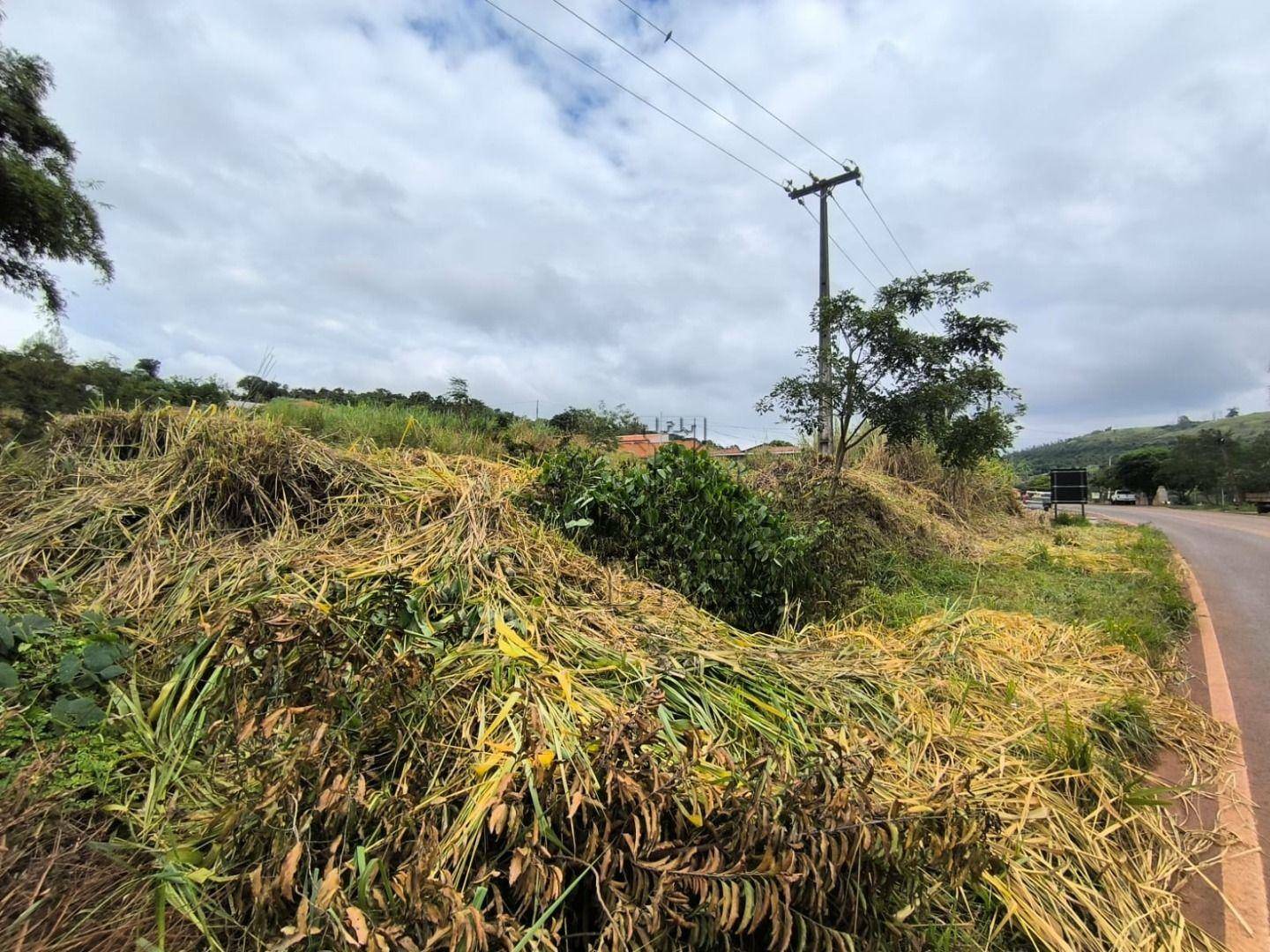 Chácara à venda, 2000M2 - Foto 9