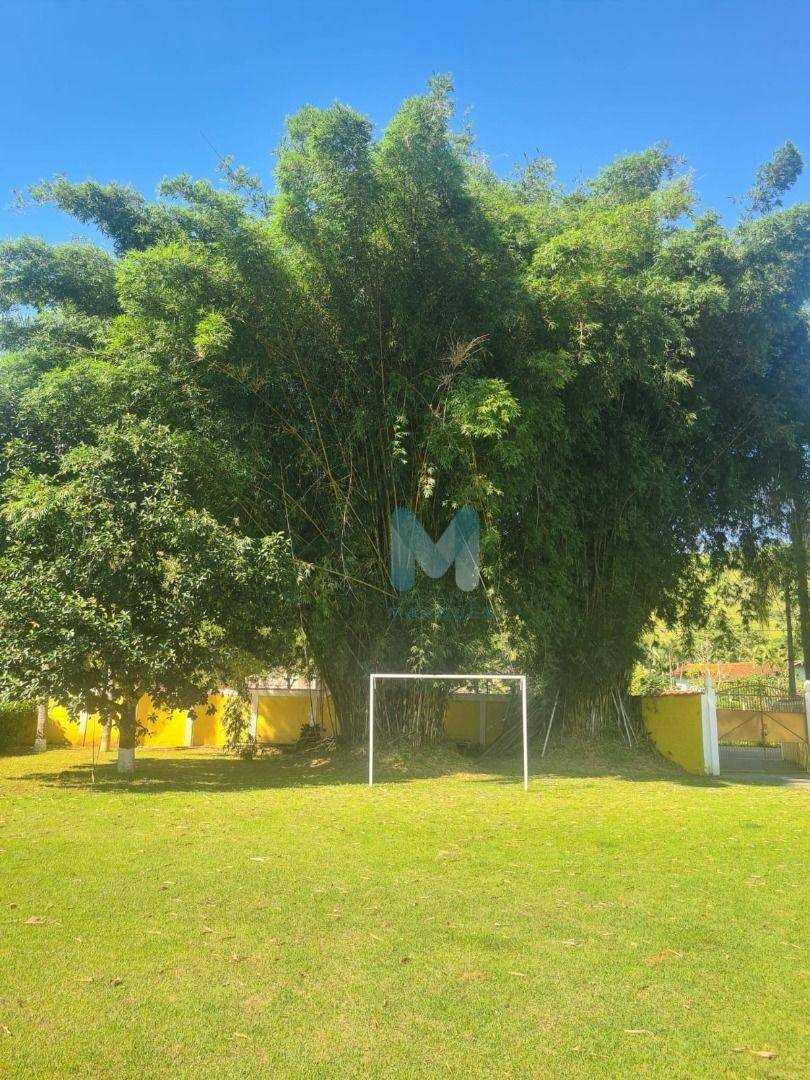 Chácara à venda com 5 quartos, 600m² - Foto 10