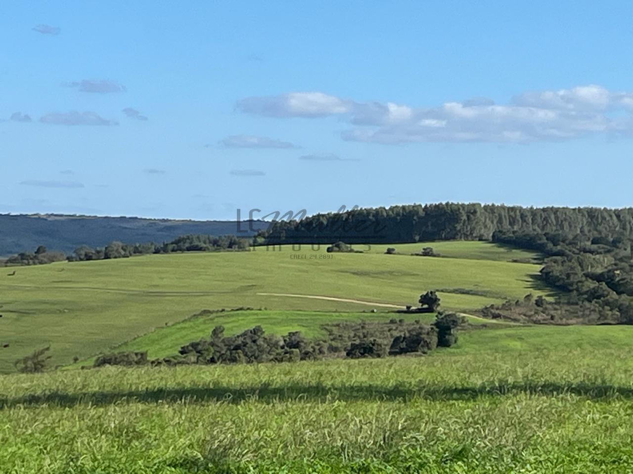 Fazenda à venda, 900m² - Foto 15