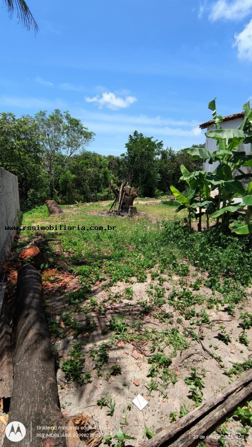 Casa para alugar com 2 quartos, 200m² - Foto 34