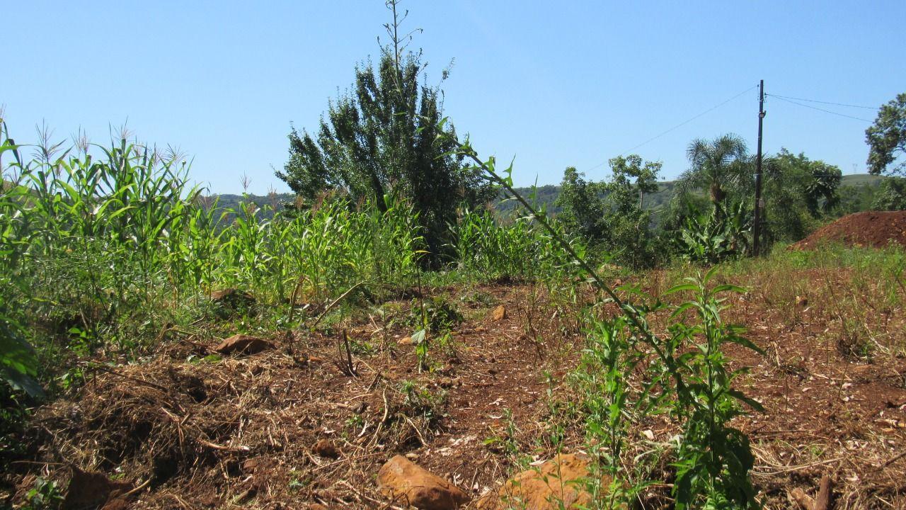 Terreno à venda, 1000m² - Foto 48