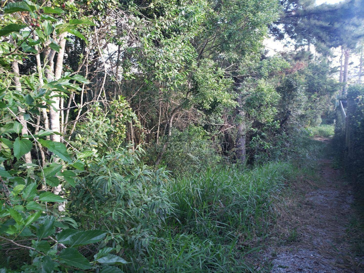 Loteamento e Condomínio à venda, 2530M2 - Foto 8