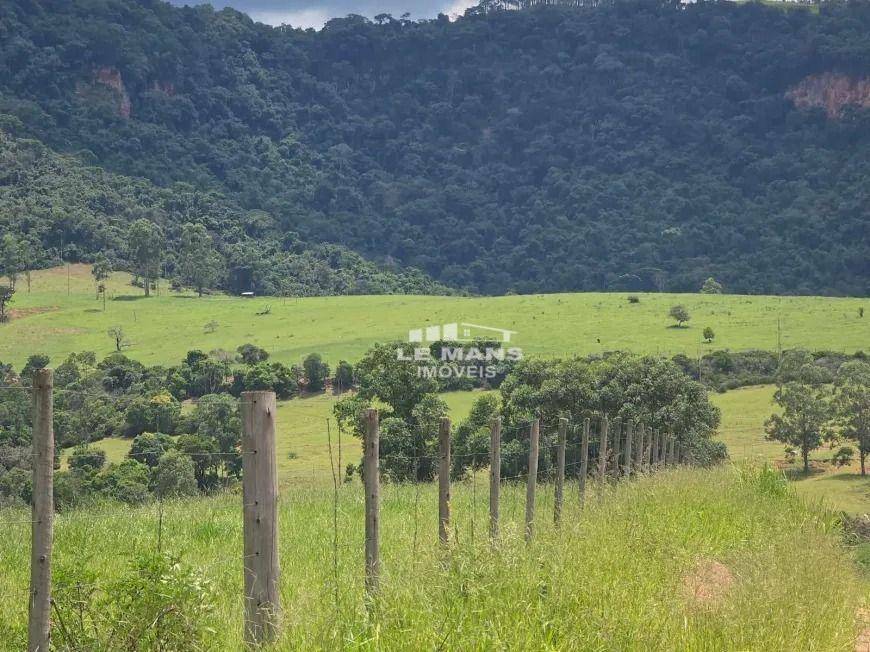 Fazenda à venda com 2 quartos, 400m² - Foto 17