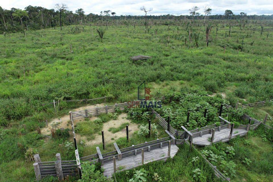 Fazenda à venda com 2 quartos, 7018000M2 - Foto 9