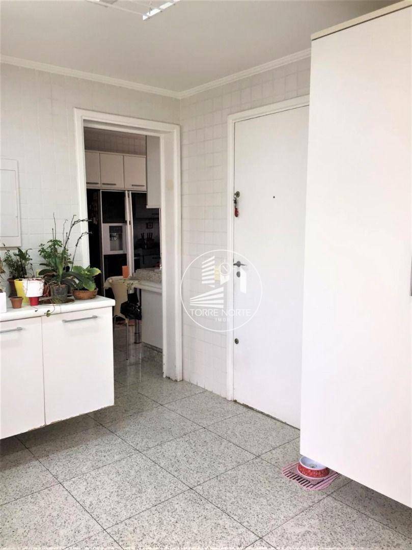 Apartamento à venda com 4 quartos, 250m² - Foto 10