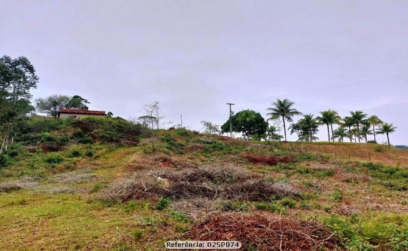 Fazenda à venda com 3 quartos, 41000m² - Foto 5