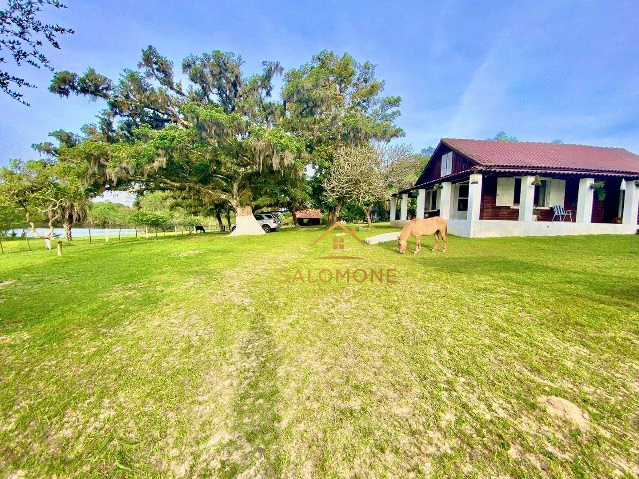 Sítio, 2 quartos, 4 hectares - Foto 2