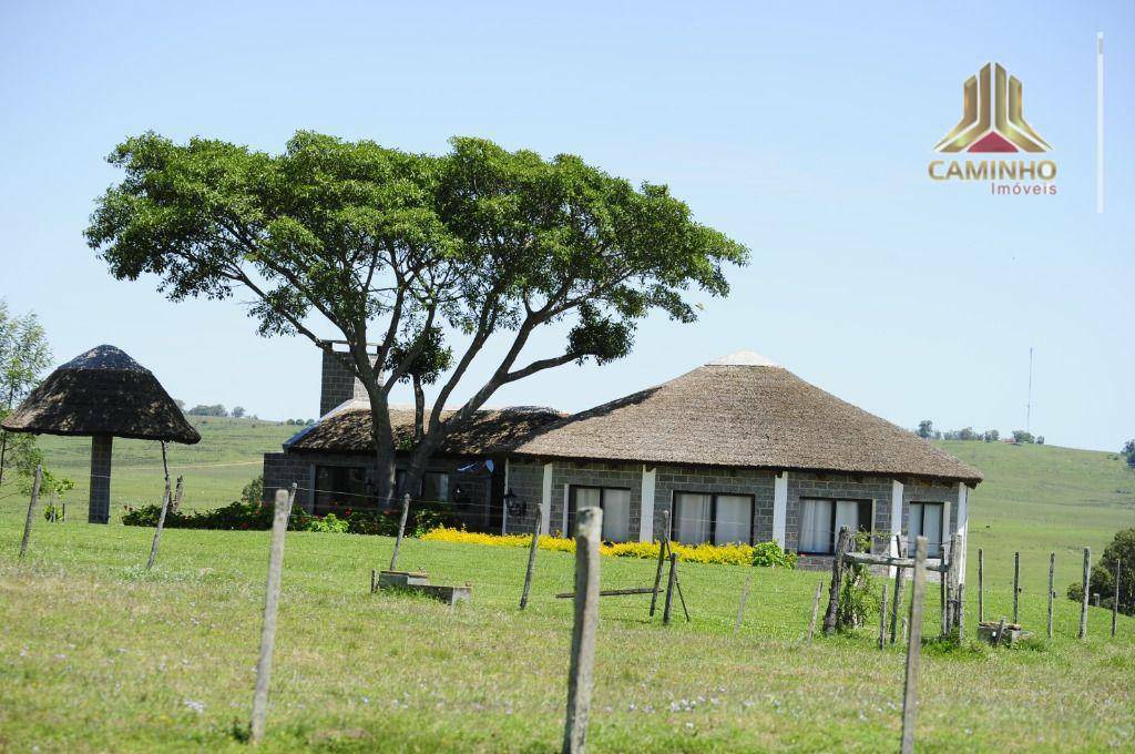 Fazenda à venda com 5 quartos, 33455000M2 - Foto 71