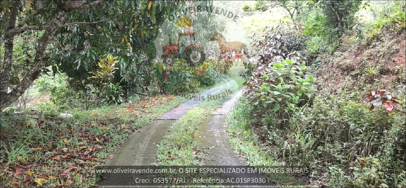 Sítio à venda com 2 quartos, 75000m² - Foto 14