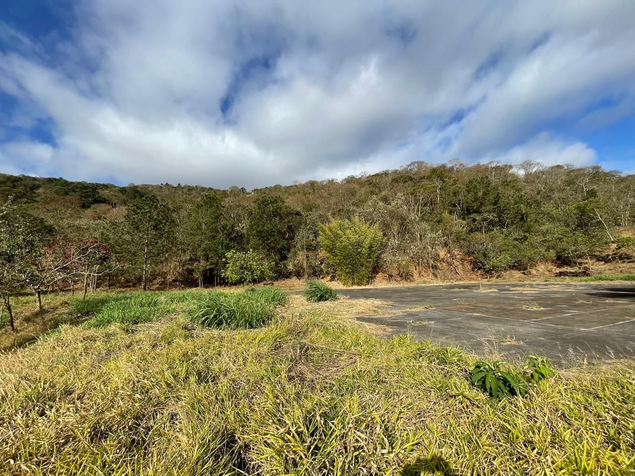 Loteamento e Condomínio à venda, 3929M2 - Foto 3