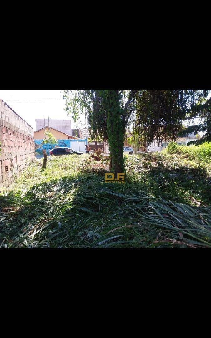 Terreno à venda, 250M2 - Foto 3