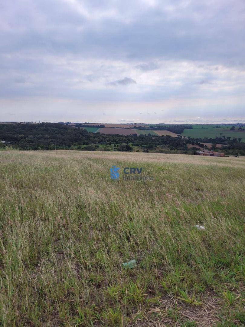 Loteamento e Condomínio à venda, 1562M2 - Foto 6