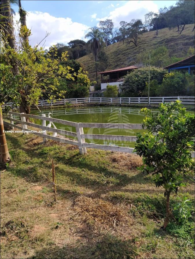 Fazenda à venda com 6 quartos, 53000m² - Foto 12