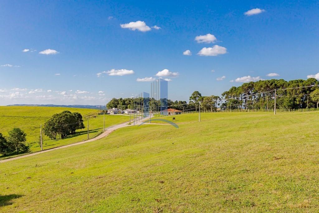 Terreno à venda, 1000m² - Foto 60