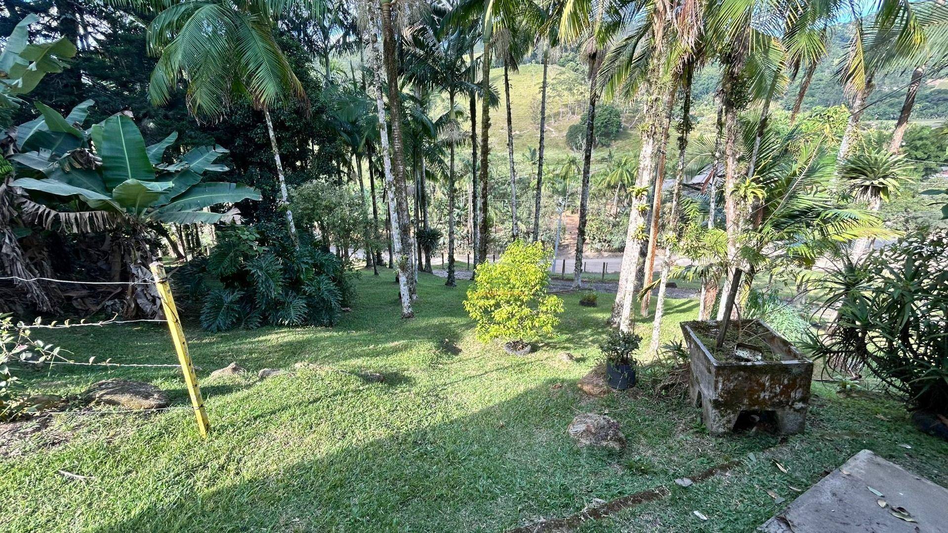 Sítio, 3 hectares - Foto 50