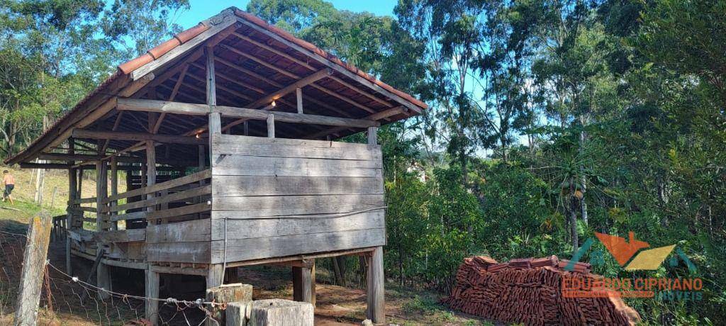 Chácara, 3 quartos, 2 hectares - Foto 14