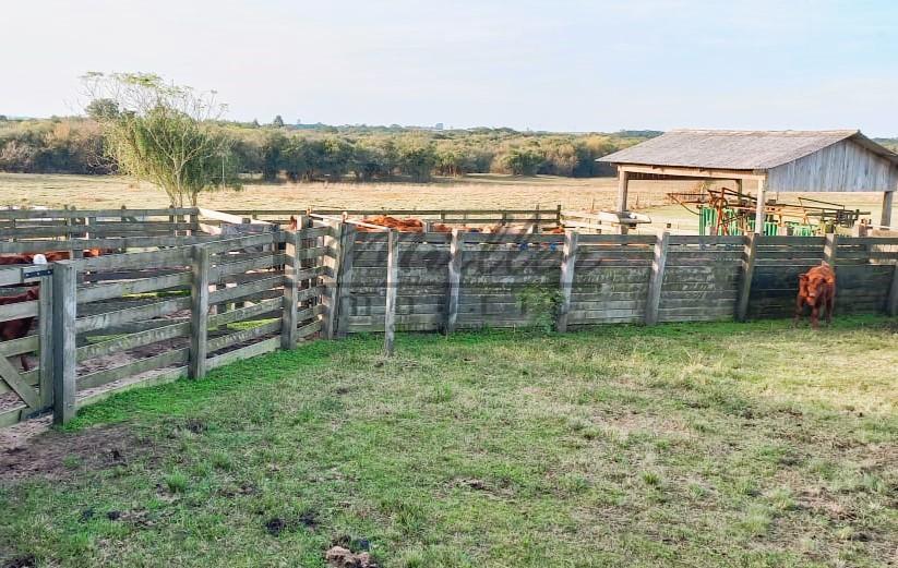 Fazenda à venda, 56m² - Foto 9