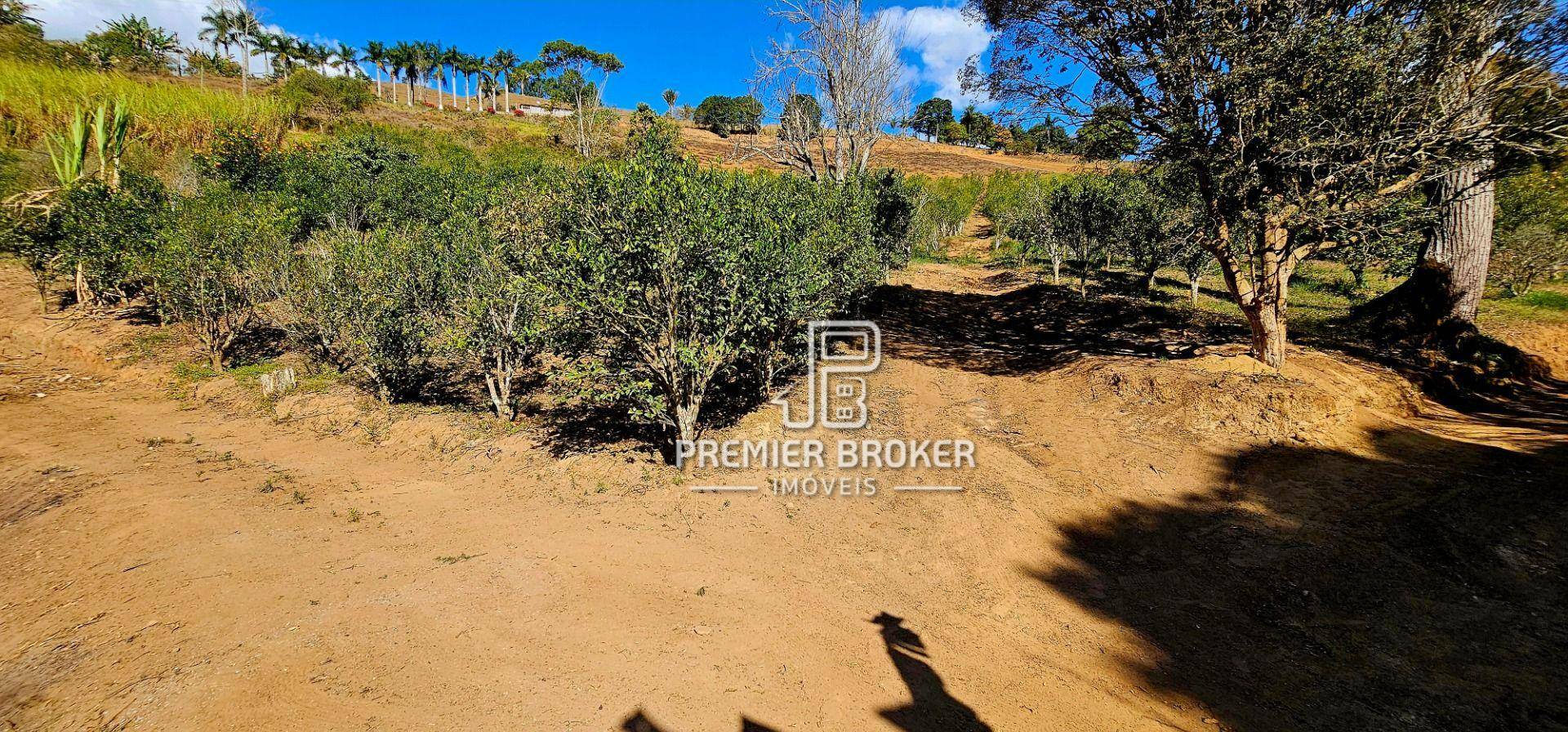 Sítio à venda com 4 quartos, 500m² - Foto 50