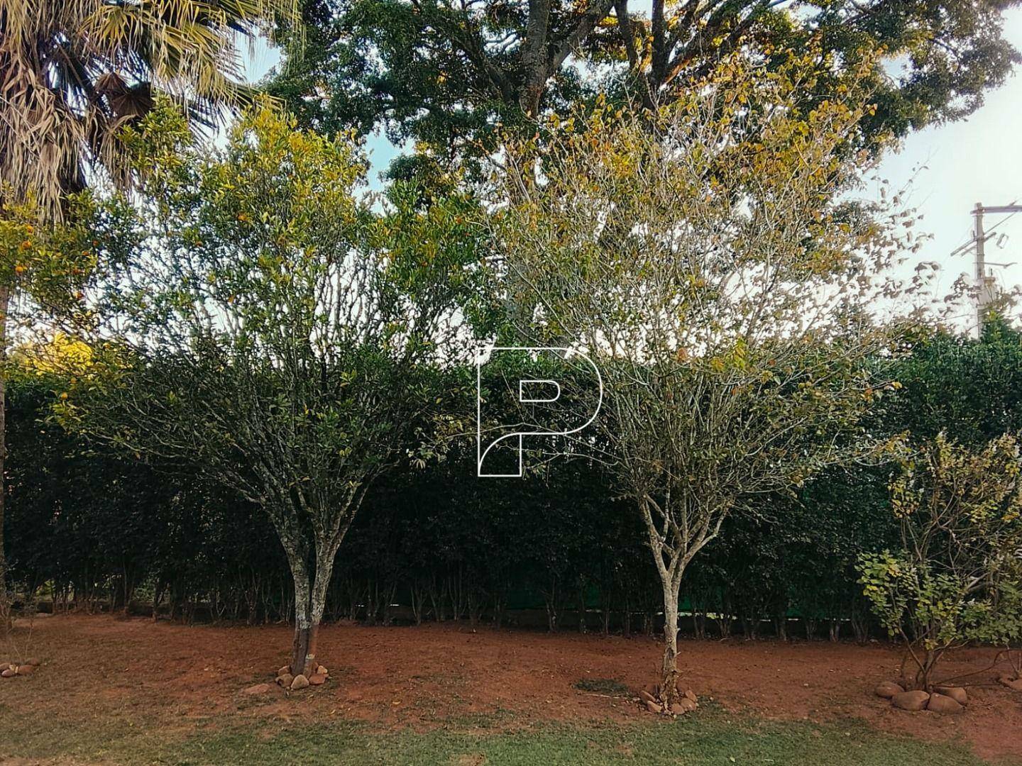 Casa de Condomínio à venda com 3 quartos, 140m² - Foto 53