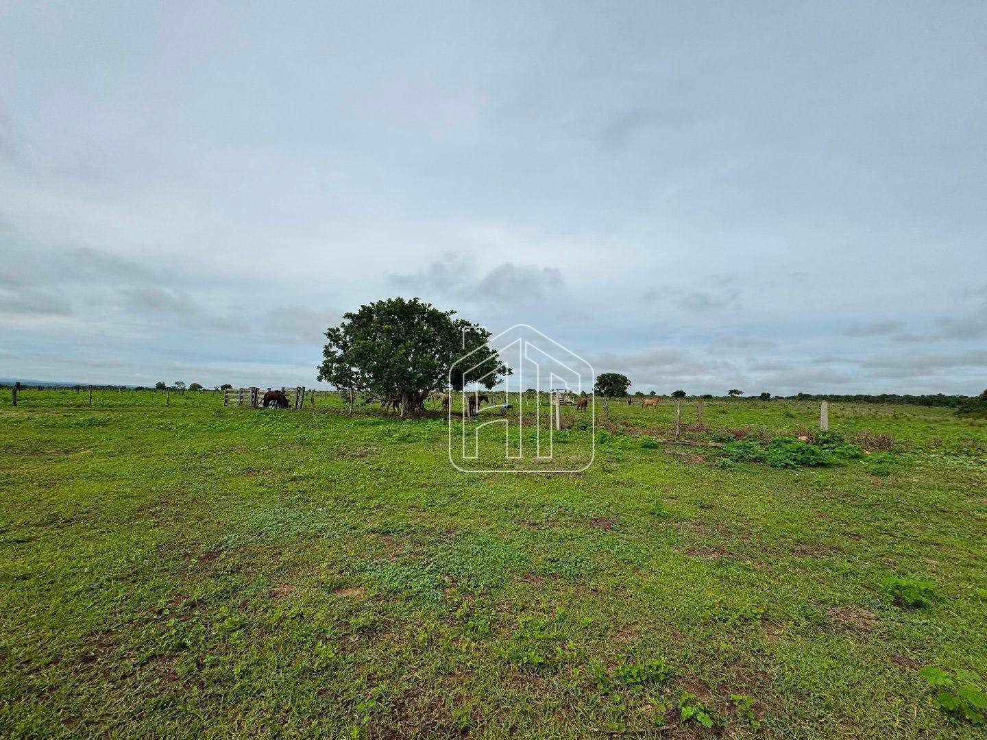 Fazenda à venda com 3 quartos, 26600000M2 - Foto 2