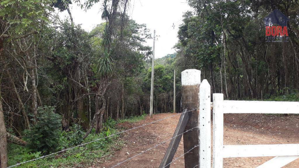 Terreno à venda, 500000M2 - Foto 7